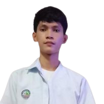 Developer 3