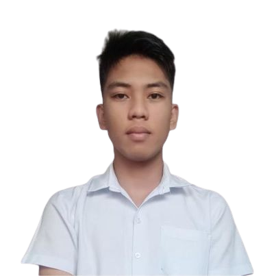 Developer 1
